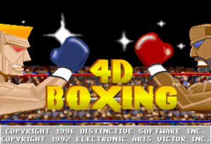 4D SPORTS BOXING